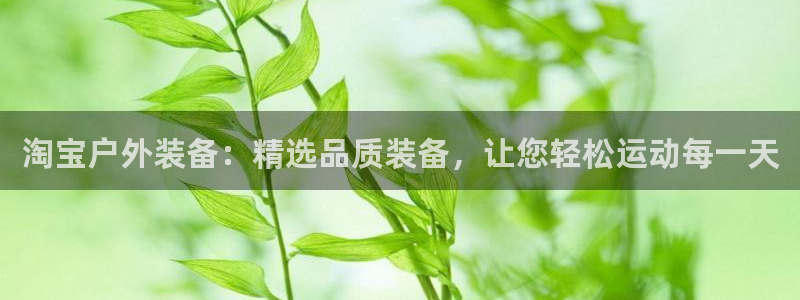 新宝gg官方下载