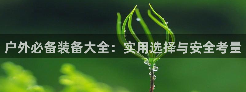 新宝gg指定平台