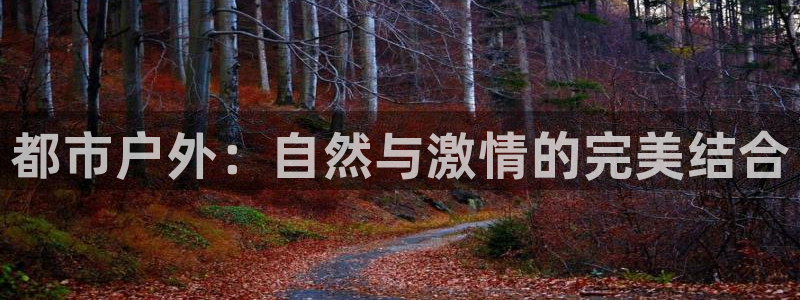 新宝gg线长