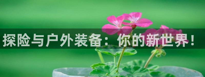 新宝GG专业团队
