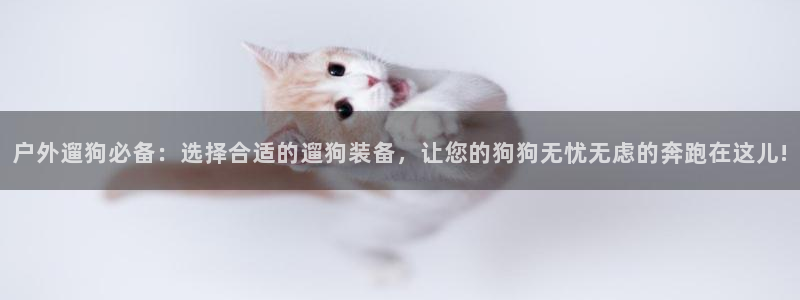 新宝gg注销