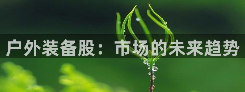 网站新宝GG