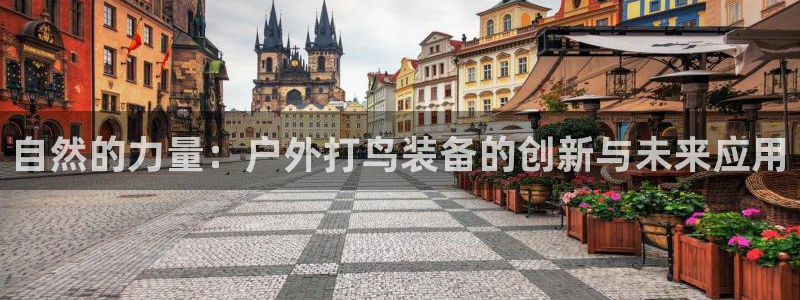 新宝gg首页