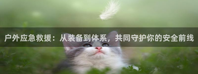 新宝gg为什么没人管