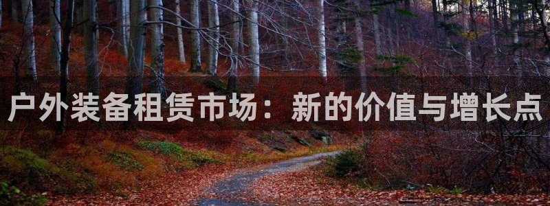 创造奇迹新宝gg