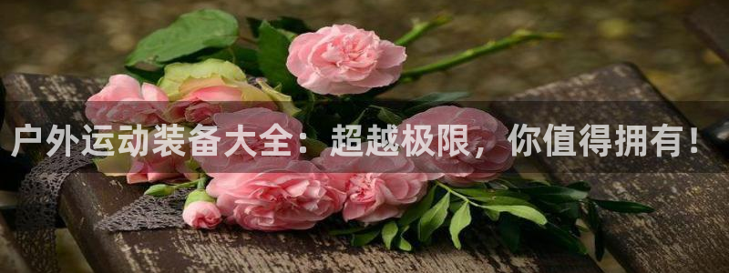 新宝gg合作