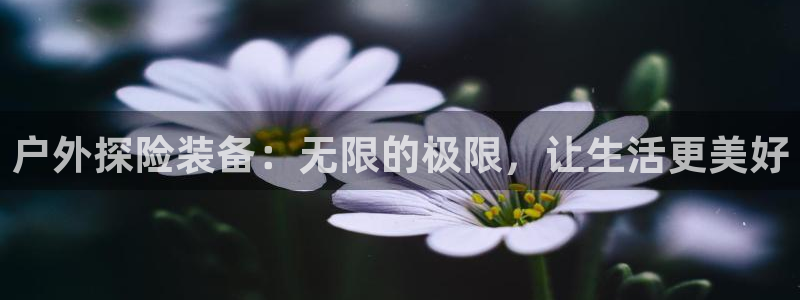 新宝gg代理登录