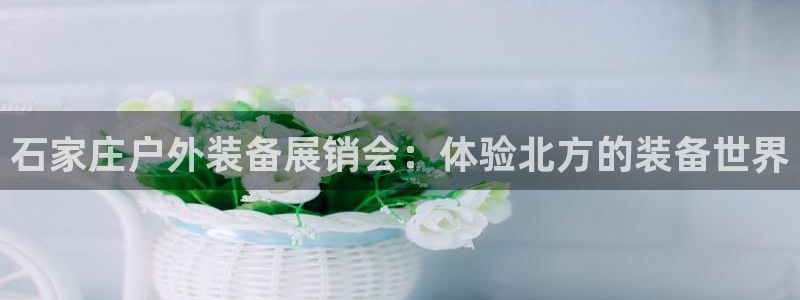新宝gg客服电话