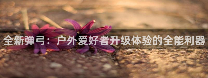 新宝gg辅助