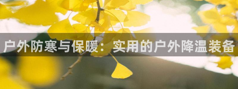 新宝gg客户端下载
