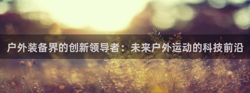 新宝gg是什么