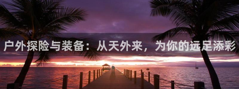 新宝GG管理