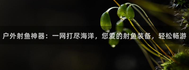 新宝gg 平台怎么样