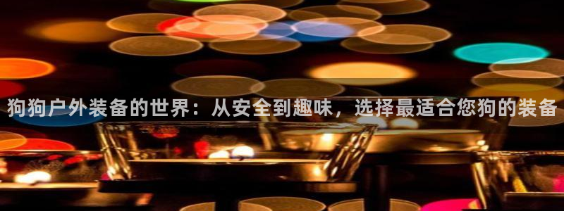 新宝gg运营88383