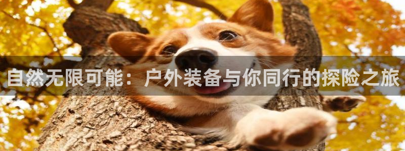 谁有新宝GG