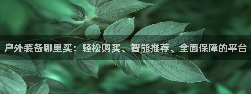 新宝gg — 创造!