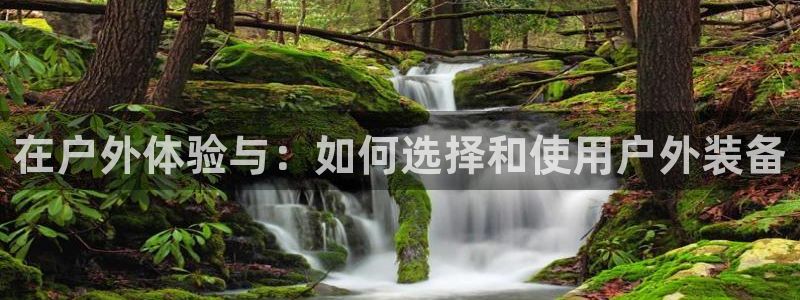 新宝gg图片