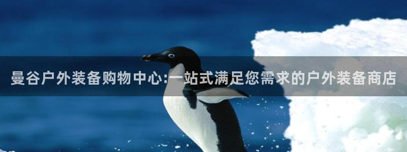 新宝gg软件下载