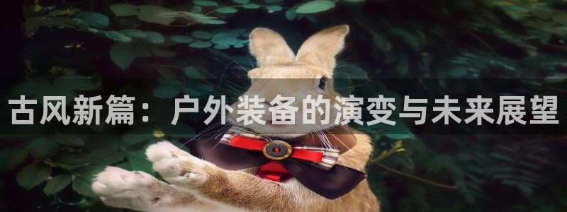 新宝gg 内部 8