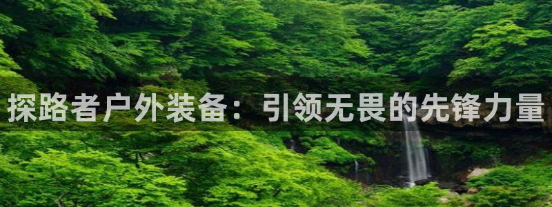 新宝gg代理