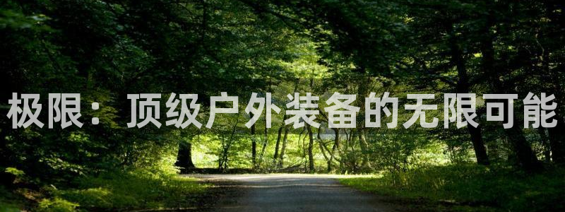 新宝gg