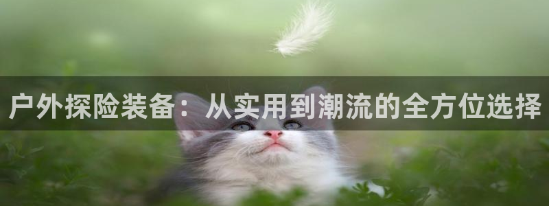 新宝gg漏洞