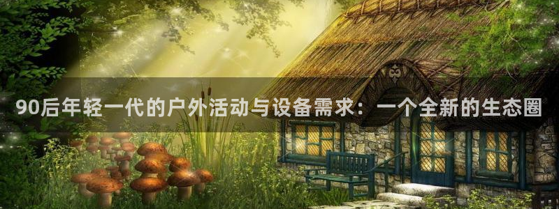 新宝gg辅助