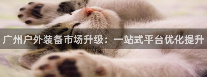 gg新宝时时彩