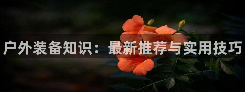 新宝gg用哪个浏览器