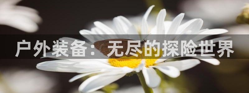 新宝gg是新宝几