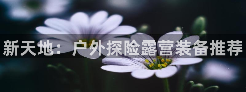 新宝gg主管都是谁