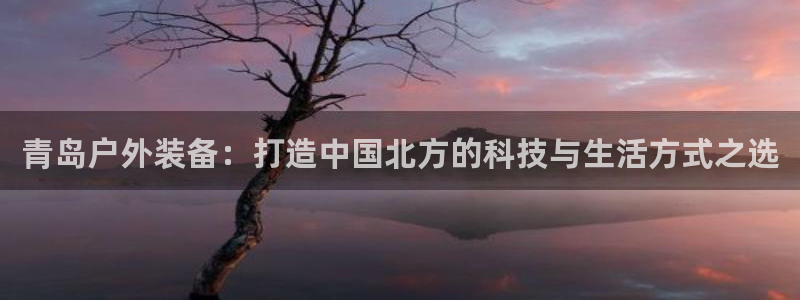 新宝gg介绍