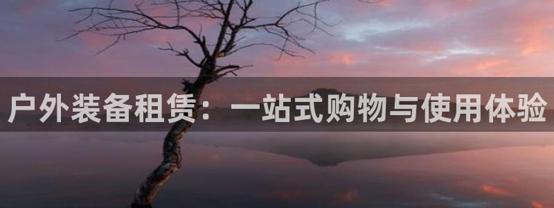 新宝gg cqdellar