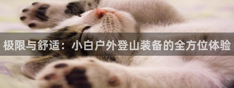 新宝gg平台开发