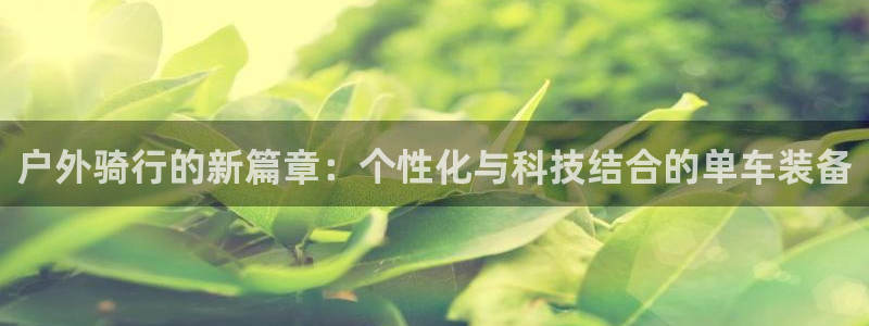 新宝gg登录网址
