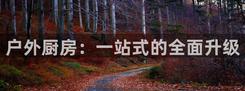 新宝gg打发