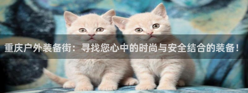 新宝gg主管、