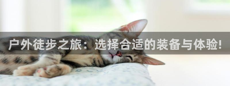 新宝一gg测速