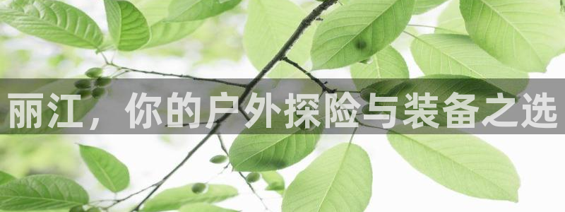 新宝gg盈亏