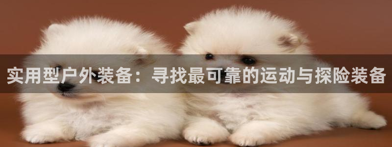新宝gg__