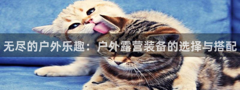 新宝gg登陆新