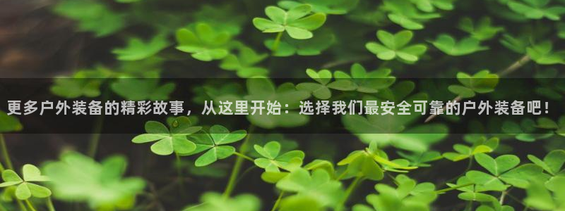 新宝gg是什么