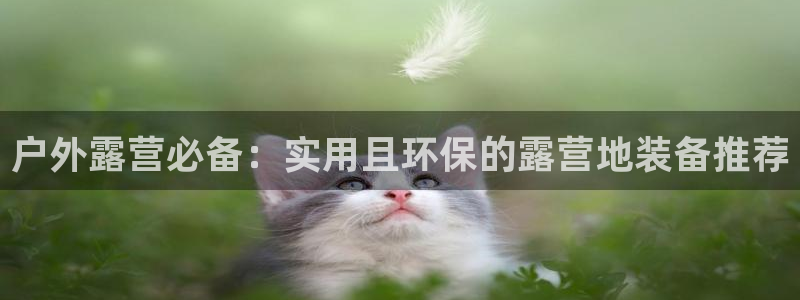 新宝gg成立