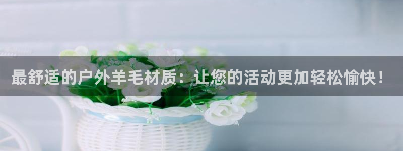 新宝gg返点