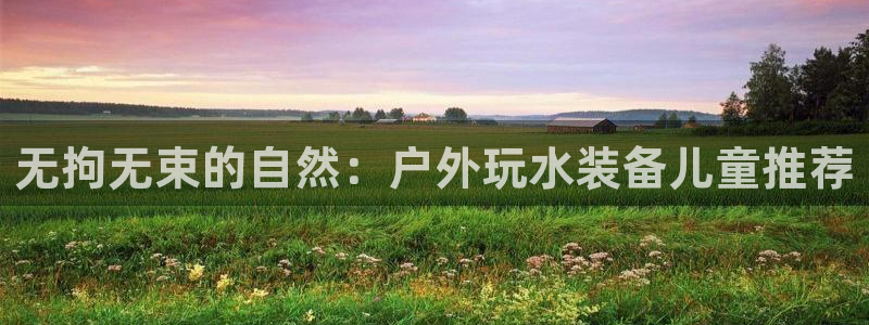 新宝gg分红