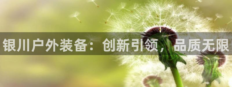 新宝gg返点