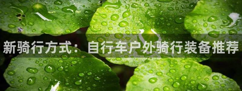 新宝gg账号