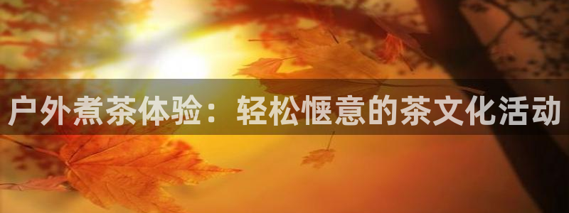 新宝gg官方下载