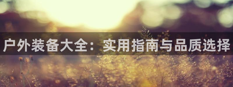 新宝gg登录页面