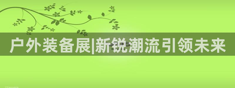 新宝gg账号